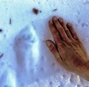 Sizing up a fisher pawprint in the Yosemite snow