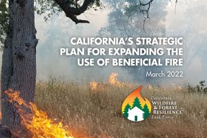 CALIFORNIA’S STRATEGIC PLAN FOR EXPANDING THE USE OF BENEFICIAL FIRE
