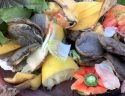 Food Waste