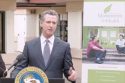 Governor Gavin Newsom