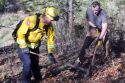 Governor Gavin Newsom working with firefighters on fuel management along HWY 50