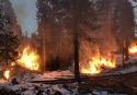 Jackpot burning in Crane Flat area of Yosemite