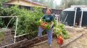 University of California Cooperative Extension Master Gardener Jim Bliss of Tuolumne County