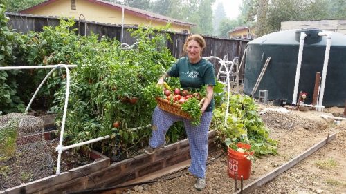 University of California Cooperative Extension Master Gardener Jim Bliss of Tuolumne County