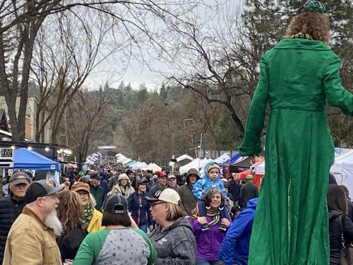 Murphys Irish Day Festival