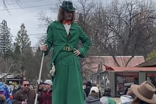 Murphys Irish Day Festival