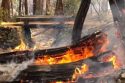 Prescribed burning in Yosemite National Park