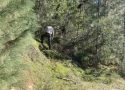 Investigation Near Longeway Road