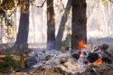Yosemite prescribed burning