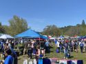 Blue Zones Community Discovery Fair