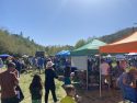 Blue Zones Community Discovery Fair