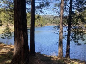 White Pines Lake