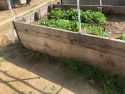 Box garden at the Mother Lode Regional Juvenile Detention Facility