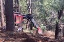 Cedar Ridge Fuel Reduction Project clearing underway