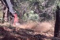 Cedar Ridge Fuel Reduction Project clearing underway