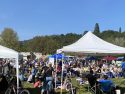 Blue Zones Community Discovery Fair