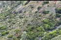 HWY 49 crash in Mariposa County where father and son were rescured