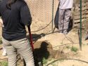 Box garden at the Mother Lode Regional Juvenile Detention Facility