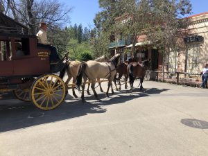 Annual Columbia Easter Celebration