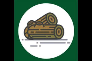 Get Your Chainsaws Ready For Forest Fuelwood
