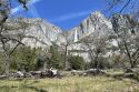 Yosemite National Park