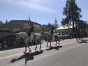 Mother Lode 2022 Roundup Parade