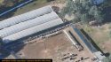 Illegal grow bust by the CCSO