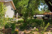 Jim Bliss, My Seasonal Lawn, picture