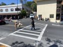 Mother Lode Roundup Parade 2022