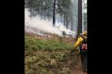 Prescribed burning in Calaveras Big Trees State Park