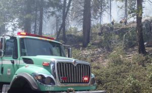 Strawberry prescribed burn