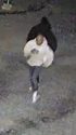 Suspect being sought in possible catalytic converter theft