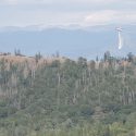Groveland Fire
