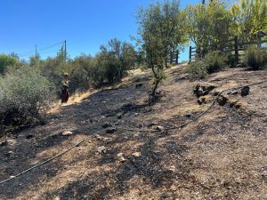 Cause Revealed For Miles Road Vegetation Fire