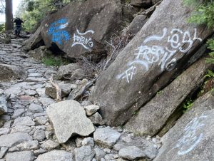 Vandalism In Yosemite