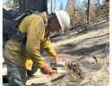 Washburn Fire BAER Specialist Testing Burned Soil for Repellency