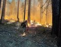 Backfiring at the Washburn Fire