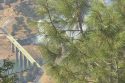 Fire near the Jacksonville Bridge in the Lake Don Pedro area