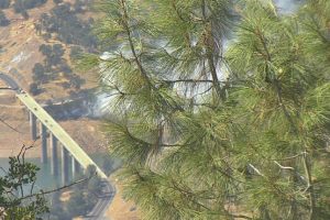 Fire near the Jacksonville Bridge in the Lake Don Pedro area