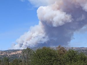 Oak Fire photo from Elisabeth Kinsey