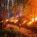 Washburn Fire burning in Yosemite