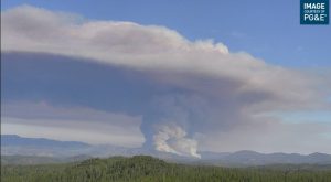 Oak Fire 5:30pm July 22 Mariposa area