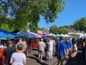 Photo by Sabrina Biehl Sonora Farmers Market in June