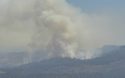 Nevada Seismo Lab image of Washburn Fire