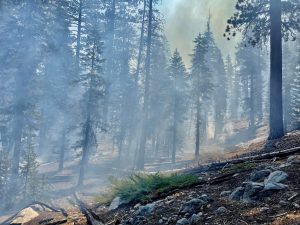 Update On Yosemite Lightning Caused Fires