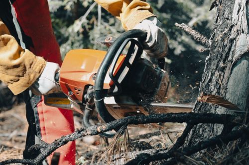 Crews working to cleanup illegally created OHV trails on STF