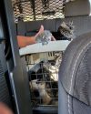 Hot cats rescued from disabled vehicle by San Andreas CHP office