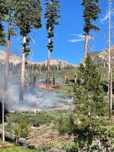Red Fire burning in Yosemite 572 acres