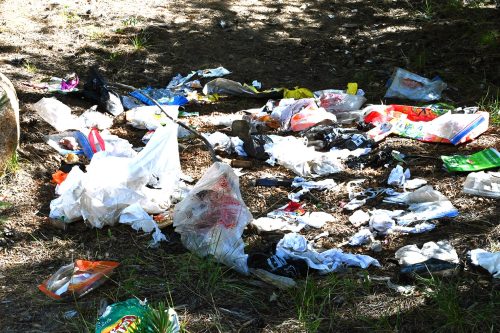 Trash found littered on the Utica-Union Reservoirs Recreation Area in the Calaveras Ranger District on Saturday 8-11-22