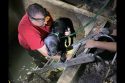 Ash being rescued from cistern